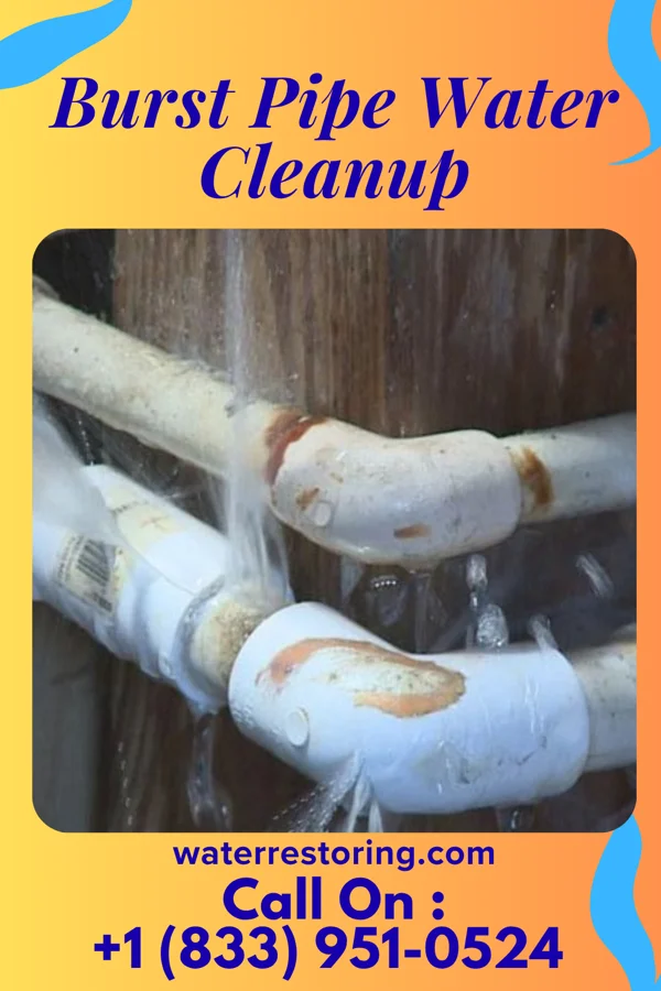 Burst Pipe Water Cleanup in Ephrata, PA