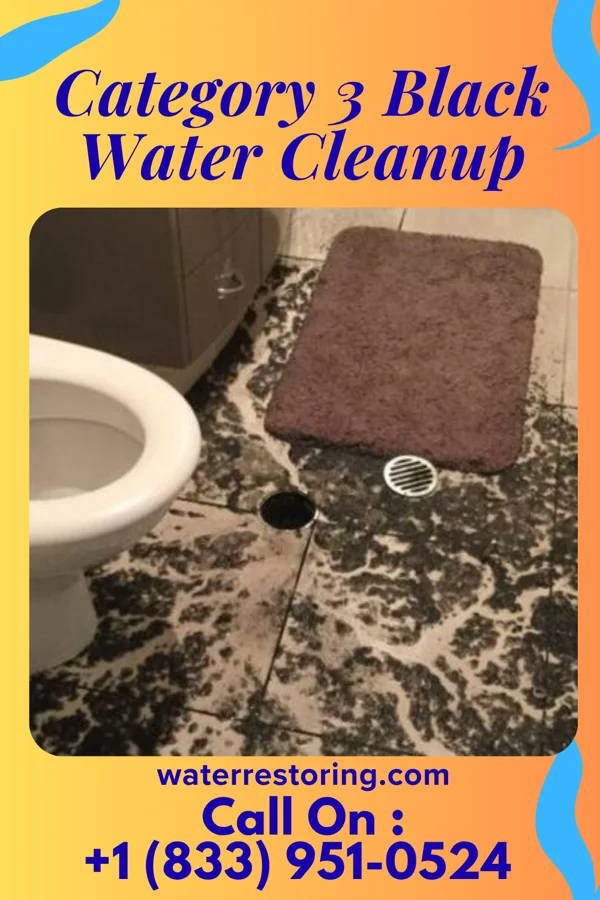 Category 3 Black Water Cleanup in Ephrata, PA