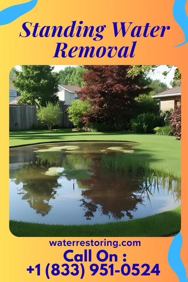 Standing Water Removal in Ephrata, PA